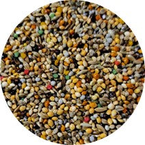 Nature Colerinha Super Premium