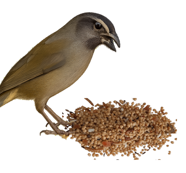 Trinca-Ferro Nature Gold Turbo