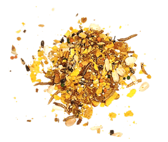 Nature Super Premium Abacaxi com insetos