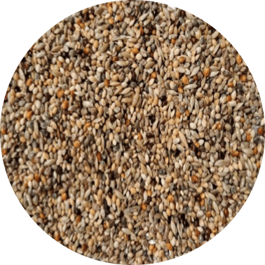 Mistura para Colerinha Premium