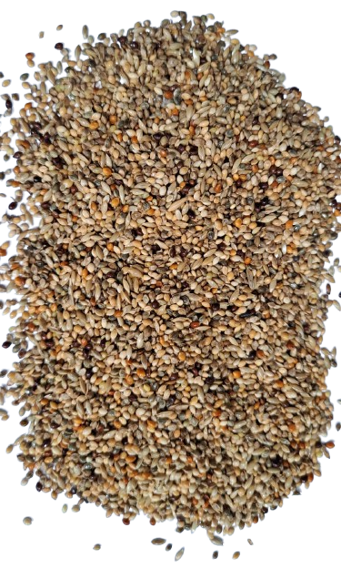Mistura para Colerinha Premium