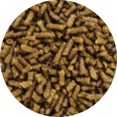 Granulada Banana comum