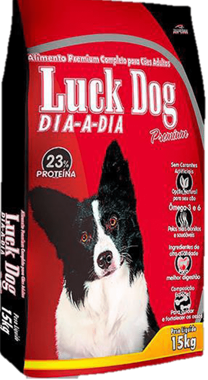 Luck dog Dia a Dia