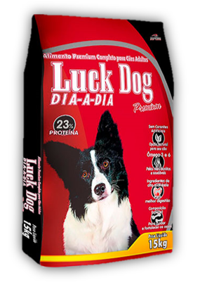 Luck dog Dia a Dia
