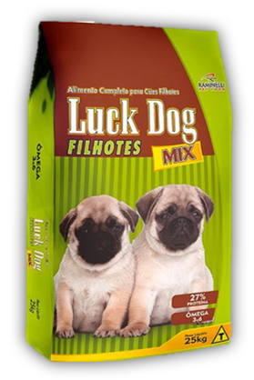 Luck dog Filhotes MIx