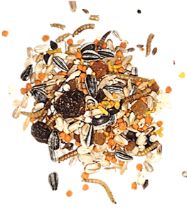 Nature Super Premium Pêssego com insetos