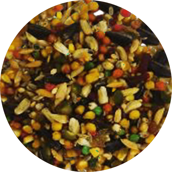 Pixarro Premium, Frutas Especiais