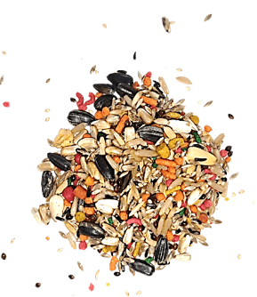 Nature Super Premium Trinca Sementes