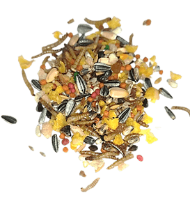 Nature Super Premium Trinca c/insetos